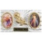 Plaque auto forme rectangle en alu striée H. 3 x 5,5 cm avec rose plus 2 résines, plusieurs saints.