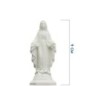 Statue fluorescente en résine de la Vierge Miraculeuse. Existes en différentes tailles.