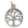 Médaille moulée ou frappée en métal couleur argentée Ø 1.5 cm. Plusieurs saints..