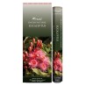 Bo-îte de 6 tubes Aromatika de 20 batônnets d'encens roulés à la main "Massala"  100% naturel (20 grammes)