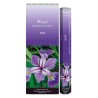 Boîte de 6 tubes Aromatika, 20 bâtonnets d'encens Massala naturels (20 g).