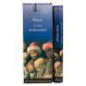Bo-îte de 6 tubes Aromatika de 20 batônnets d'encens roulés à la main "Massala"  100% naturel (20 grammes)