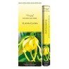 Bo-îte de 6 tubes Aromatika de 20 batônnets d'encens roulés à la main "Massala"  100% naturel (20 grammes)