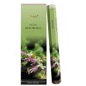 Boite de 6 tubes Aromatika Garden Stick de 10 batonnets H. 40 cm d encens roule a la main 100% naturel.
