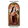 Autocollant Transparent vitrail de saint avec priere H. 10.5 x 6.5 cm pour bougie de neuvaine..