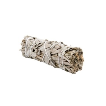Sauge blanche naturelle (Salvia apiana) fagot de fumigation plusieurs tailles.