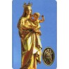 Carte priere plastifiee avec poincon dore imitation medaille H.8.5 x 5.4 cm, plusieurs saints..
