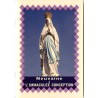 Livret de neuvaine avec historique, prière, neuvaine H.15 x10 cm, nombreux saints.