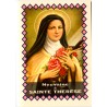 Livret de neuvaine avec historique, prière, neuvaine H.15 x10 cm, nombreux saints.