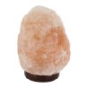 Lampe de sel de l´Himalaya sur socle en bois avec cordon et ampoule livree en boite individuelle 2 - 3 kg