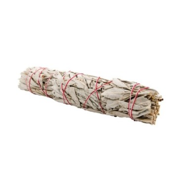 Sauge blanche naturelle (Salvia apiana) fagot de fumigation plusieurs tailles.
