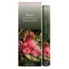 Boîte de 6 tubes Aromatika, 20 bâtonnets d'encens Massala naturels (20 g).