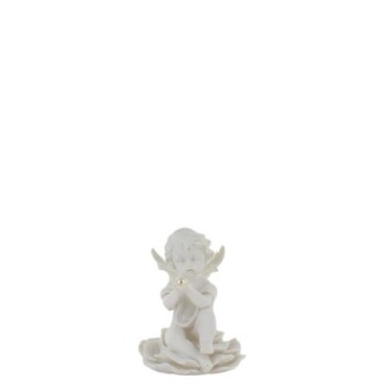 22423-PHOTO2