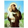 Poster image papier (135 g) H.26 x 19 cm, plusieurs saints.