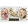 Plaque auto forme rectangle en alu striée H. 3 x 5,5 cm avec rose plus 2 résines, plusieurs saints.