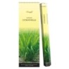 Boite de 6 tubes Aromatika Garden Stick de 10 batonnets H. 40 cm d encens roule a la main 100% naturel.
