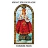 Autocollant Transparent vitrail de saint avec priere H. 10.5 x 6.5 cm pour bougie de neuvaine..