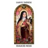 Autocollant Transparent vitrail de saint avec priere H. 10.5 x 6.5 cm pour bougie de neuvaine..
