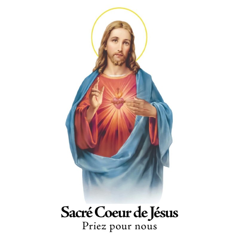 cover_17794A.SCJ