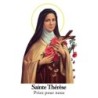 Autocollant Transparent detoure de saint avec priere H. 10.5 x 6.5 cm pour bougie de neuvaine..