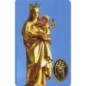 Carte priere plastifiee avec poincon dore imitation medaille H.8.5 x 5.4 cm, plusieurs saints.