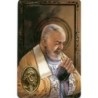 Carte priere plastifiee avec poincon dore imitation medaille H.8.5 x 5.4 cm, plusieurs saints..