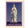 Livret de neuvaine avec historique, prière, neuvaine H.15 x10 cm, nombreux saints.