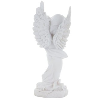 22315-PHOTO3