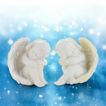 22321-PHOTO2