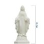 Statue fluorescente en résine de la Vierge Miraculeuse. Existes en différentes tailles.