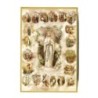Cadre en bois à suspendre, finition feuille d’or – H. 15 x 10 cm, image collée, plusieurs saints.