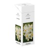 Boite de 6 tubes de 20 bâtonnets d´encens, parfume aux huiles essentielles.