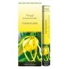 Boîte de 6 tubes Aromatika, 20 bâtonnets d'encens Massala naturels (20 g).