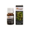 Huile parfumée Aromatika pour diffuseur, flacon de 10 ml, Plusieurs modèles..