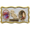 Plaque auto rectangle H. 3 x 6 cm de couleur argentée et dorée avec rose + 2 résines plusieurs Saints